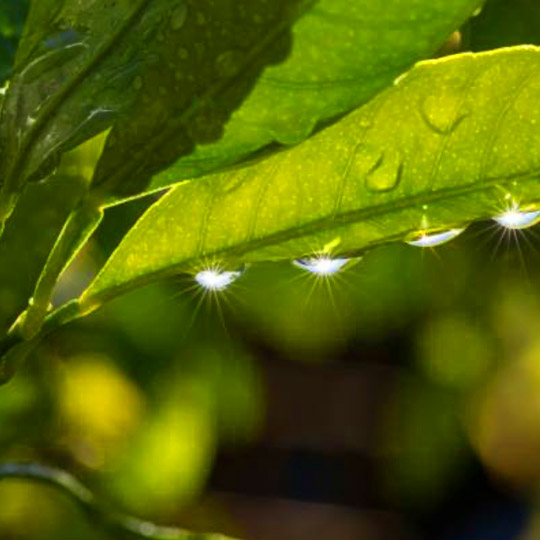  Arthritis Pain Relief